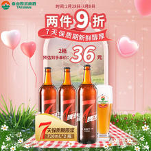 TAISHAN 泰山啤酒 泰山 10度7天原浆啤酒 720mL*2瓶 整箱装