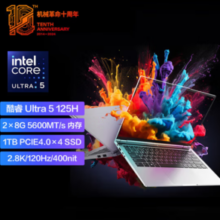 MECHREVO 机械革命 无界14Pro 14英寸笔记本电脑（Ultra 5 125H、16GB、 1TB)