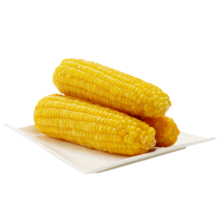 再补货：森工露选 大棒鲜糯玉米 1根*220g