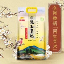 金龙鱼 乳玉皇妃 稻香贡米 5kg*3件