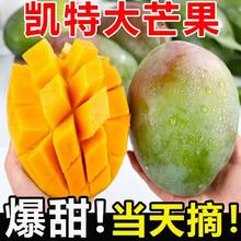 巨好卖 单果500g+凯特芒果4.5斤