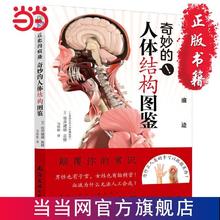百亿补贴：《进化的痕迹·奇妙的人体结构图鉴》