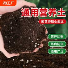 营养土养花专用通用型绿植花土种花种菜家用有机土壤种植花泥发酵