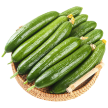 京东百亿补贴、plus会员:京百味荷兰水果黄瓜 净重1.5kg