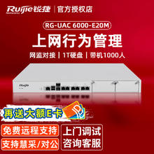 Ruijie 锐捷 上网行为管理与审计 RG-UAC 6000-E20M 支持400M 2个扩展槽位 1T硬盘 标准机架式