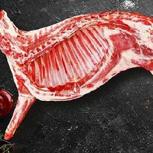 PLUSh会员：午羊 宁夏滩羊肉 生鲜分割半只羊排年货礼盒 分割半只羊6斤