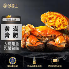 今锦上 大闸蟹鲜活螃蟹礼盒全母2.3-2.6两6只装精品中秋国庆礼盒礼品 去绳足重