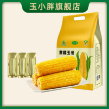 玉小胖！24年头茬东北黄糯玉米220gx8根