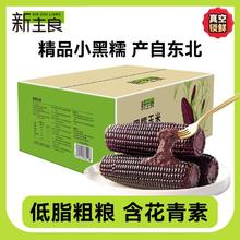 新主良 小黑糯玉米棒 1.2公斤
