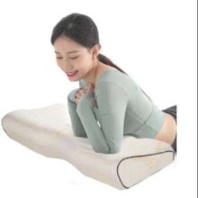 27日0点、plus会员：AiSleep 睡眠博士 磁石成人颈椎枕头记忆棉枕头枕芯