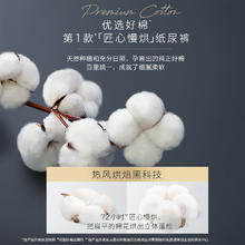 HUGGIES 好奇 治愈之柔系列 纸尿裤
