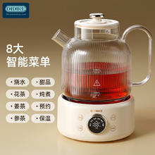 OIDIRE 奥帝尔 德国OIDIRE 养生壶 煮茶壶煮茶器 ODI-HC01花茶养生壶