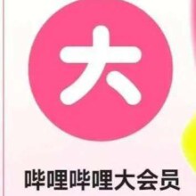 哔哩哔哩大会员一年