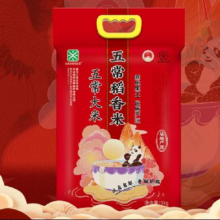 PLUS会员：五米常香  五常大米   10斤