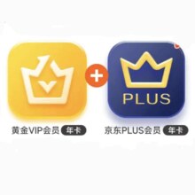 爱奇艺 黄金VIP会员年卡 加赠京东plus会员年卡