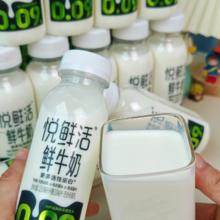 悦鲜活鲜牛奶10瓶装+碧根果酸奶杯x2