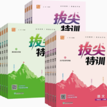 《2024秋 小学拔尖特训》（年级/科目/版本任选）