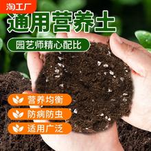 营养土养花通用专用种菜土壤种植土绿植物多肉家用盆栽种花土疏松