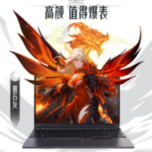 MECHREVO  机械革命 翼龙15 Pro 15.3英寸游戏本（R7-8845H、24GB、1TB、RTX4060）
