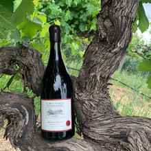 Burge Family Winemaker 堡歌家族酒庄 堡歌 赤霞珠 干红葡萄酒 750ml 单支装
