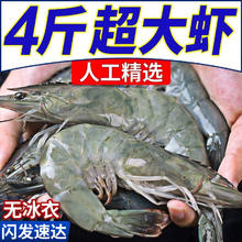百亿补贴：XYXT 虾有虾途 盐冻大虾 17-19厘米 4斤 无冰的