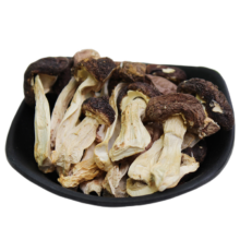 滇味十足 云南高山松茸 南北干货火锅食材 松茸菌菇 云南特产 松茸菇 【试吃装】