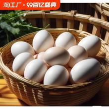 官补16.9元 30枚贵州土鸡蛋 约45g/枚
