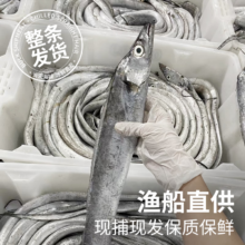 预售：鲜京采 舟山带鱼 150-200g/条 1.5kg7-9条
