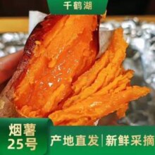 京地达 河南烟薯25号 中果 净重4.5斤