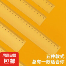 概率券:透明塑料尺子 2把15cm