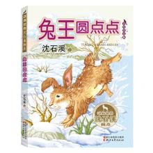 沈石溪动物世界画本儿童绘本
