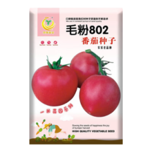 京东试用：凤鸣雅世 农家老品种大粉番茄种子 100粒