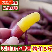 临安新货天目山小香薯黄心板栗红薯新鲜地瓜粗粮番薯山芋粉糯香甜