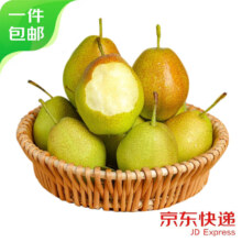 山西红香酥梨 净重3斤 单果120g  生鲜水果