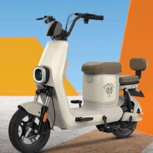 京东百亿补贴、需首购：BODO 宝岛电动车 N5  48V30H锂电-续航100公里