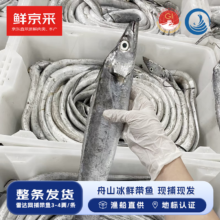 预售：鲜京采 舟山带鱼 150-200g/条 1.5kg 7-9条
