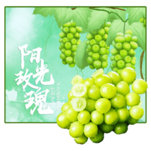 疆域采虹 正宗阳光玫瑰葡萄 精选 2斤 带箱 单果约7-12g净1.5斤