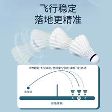 LI-NING 李宁 羽毛球6只装