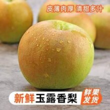 菜鸟自营品牌，挑枣儿 新鲜采摘玉露香梨 中果 4.5斤