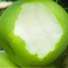 plus会员:皇金蜜 青皮皇冠梨 单果200g+净重4.5斤*2件