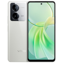 plus会员、京东百亿补贴:vivo Y100t 8GB+256GB 雪域白
