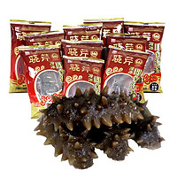 晓芹 冷冻即食海参 35-50只 1.5kg