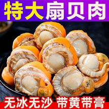 北海湾 3斤北海湾新鲜特大扇贝肉带黄带膏无冰衣冷冻特级北城红贝固形物80%
