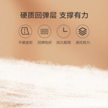 水星家纺床垫床褥乐肤绒暖享加厚床垫 冰咖啡色 180cm×200cm