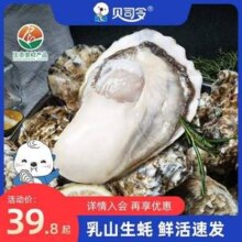 贝司令 乳山牡蛎鲜活生蚝 5斤