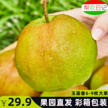 帮农日记 山西玉露香梨整箱 净重4.5斤