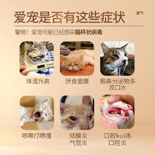 宠莱克 猫杯状试纸猫咪FCV病毒检测卡猫口炎发烧流泪新猫到家检测试纸