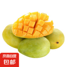 四川攀枝花凯特芒果 3斤300-400g