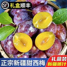 特大果 新疆大西梅 净重 2.5斤/礼盒装单果40-60g+