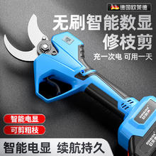 OULAIDE 欧莱德 无刷数显园艺锂电充电式电动剪刀剪树枝园林粗枝剪修枝剪果树剪子